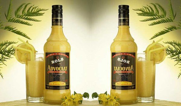 Advocaat