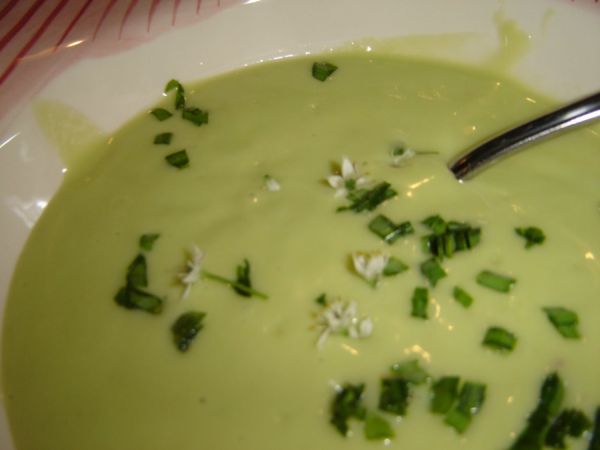 Avocado Soup