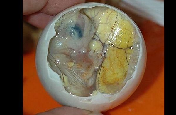 Balut_1