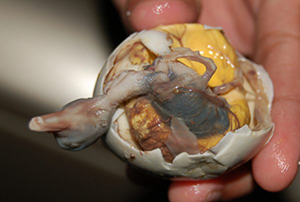 Balut