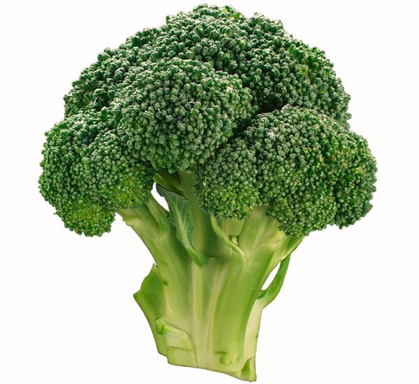 Broccoli