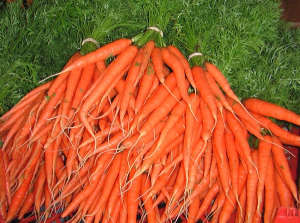 Carrots