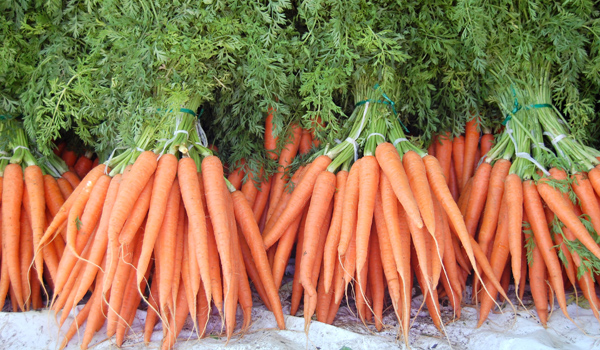 Carrots