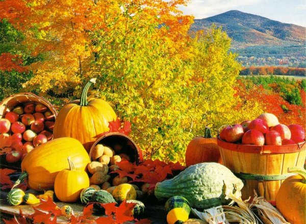 Delectable fall fruits and vegetables