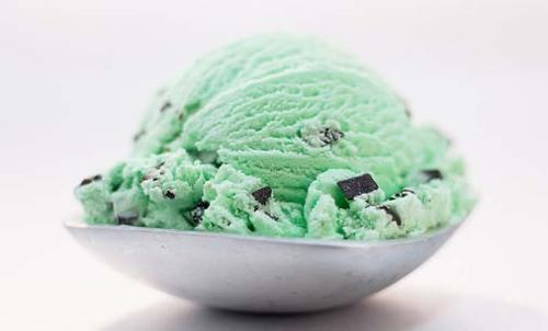 Easy mint chocolate chip ice cream