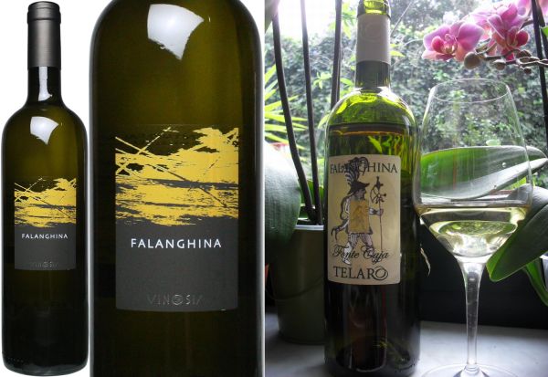 Falanghina