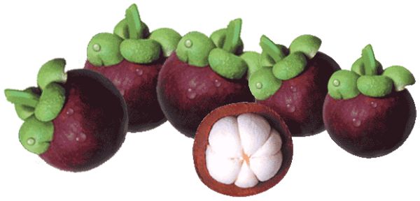 Mangosteen