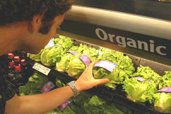 Organic food