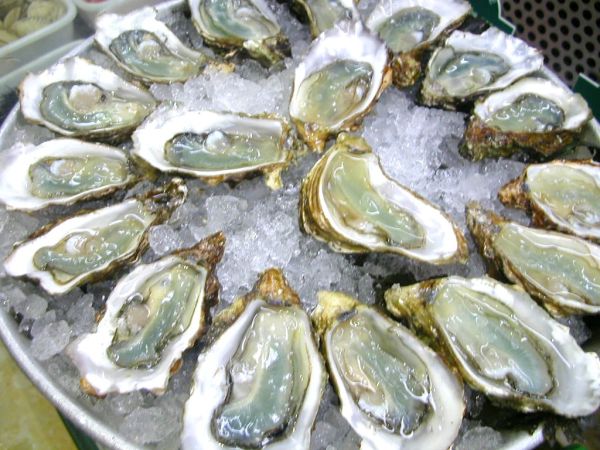 Oysters