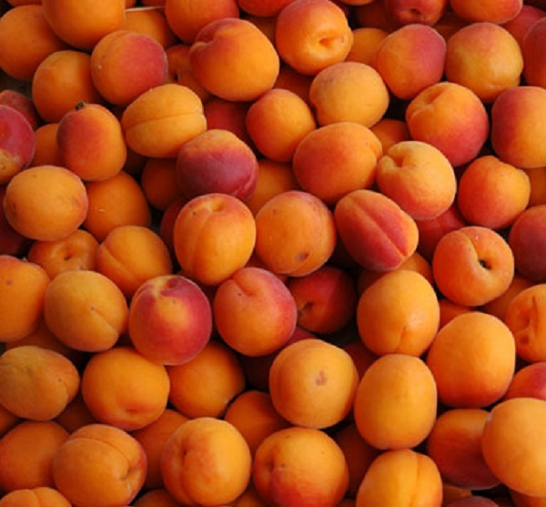 Peach or Nectarine Kanten