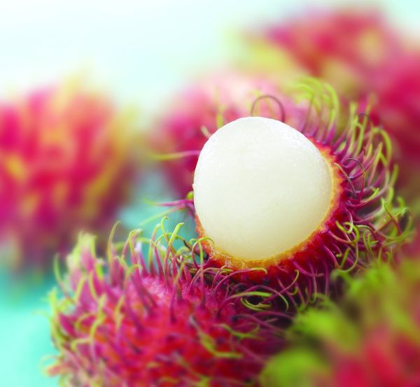 Rambutan