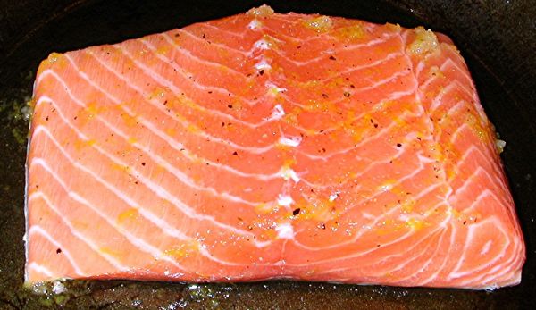 Salmon