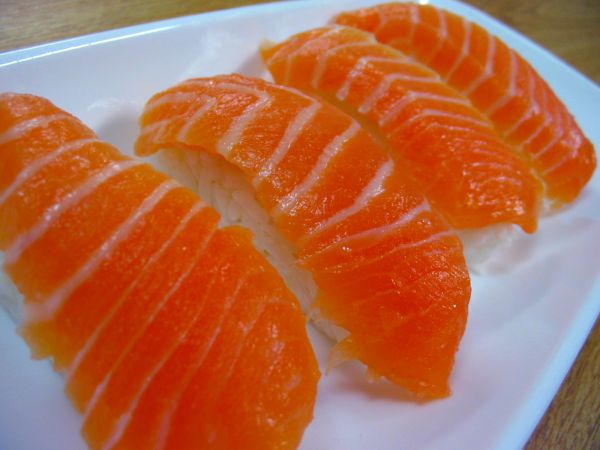 Salmon