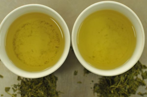 Sencha green tea