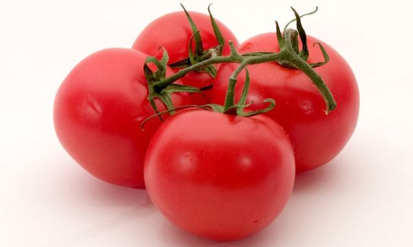 Tomatoes