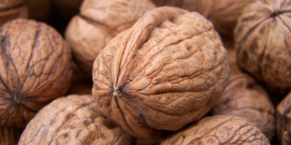 Walnuts