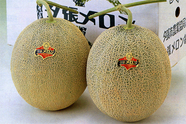 Yubari melons