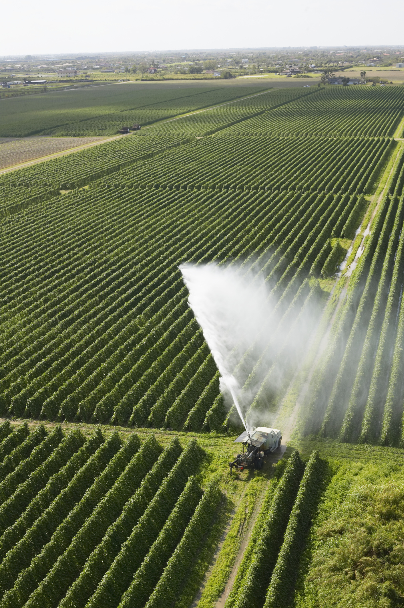 understanding-the-importance-of-food-security-always-foodie