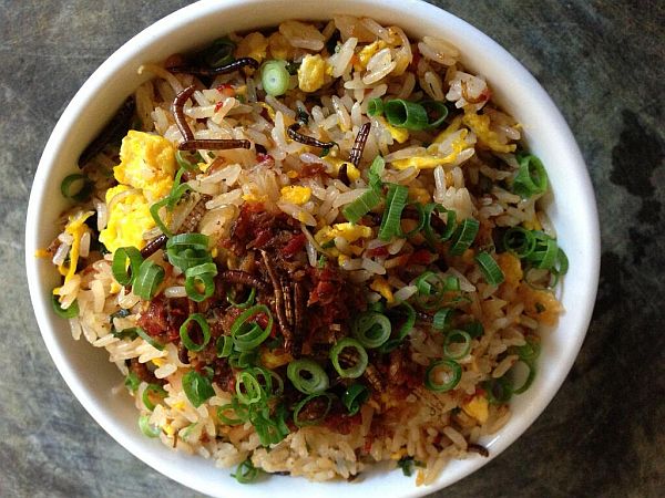 Roasted mealworms are served with Cantonese fried rice