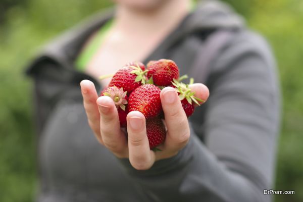 strawberry time