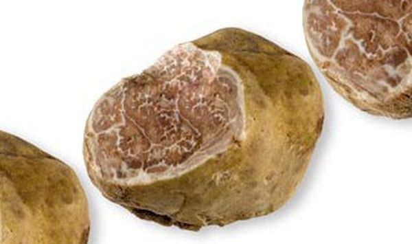 Italian White Alba Truffle